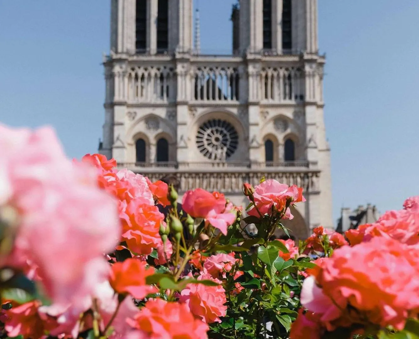 Authentic Apartment - 2Br - 4P - Monnaie Paris